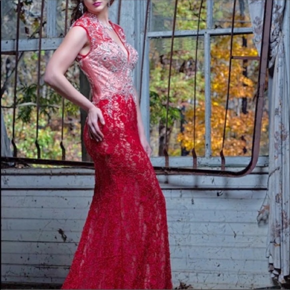 Mac Duggal Dresses & Skirts - Mac Duggal red nude floral lace gown